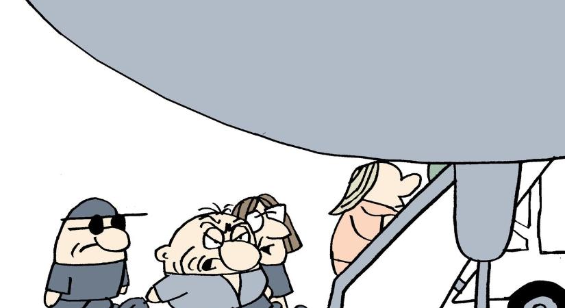 Marabu Féknyúz: Fapados
