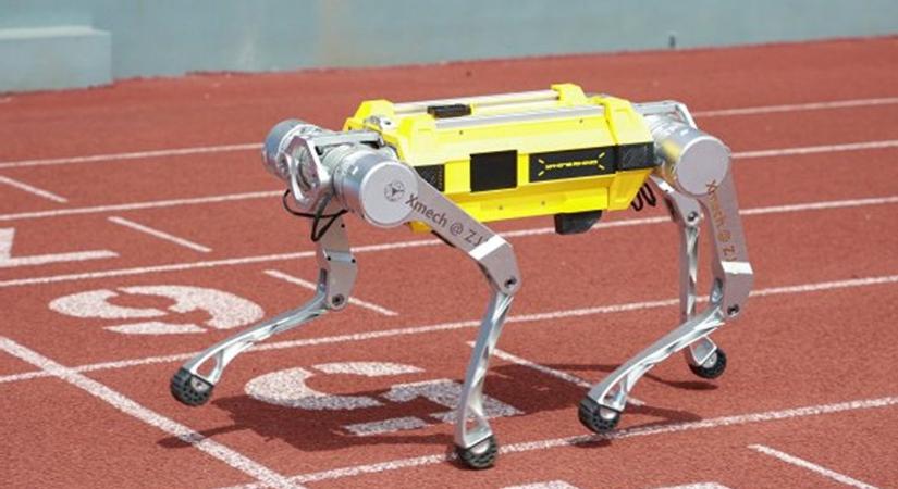 Új Guiness-rekordot állított fel egy kínai robotkutya