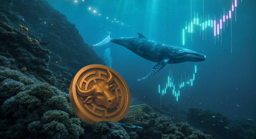 Piaci figyelmeztetés: Nagy Bitcoin-bálnák váltanak egy új, 1000%-os altcoinra