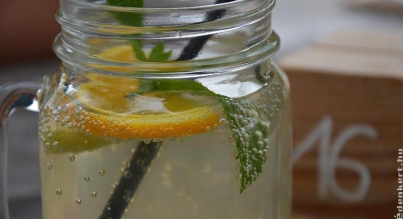 Házi mentaszörp recept - így készül a legfinomabb augusztusi frissítő