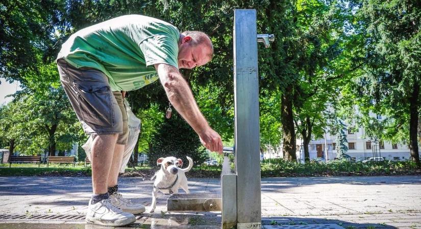 Extrém időjárás jön! Ettől a naptól adták ki a harmadfokú hőségriasztást