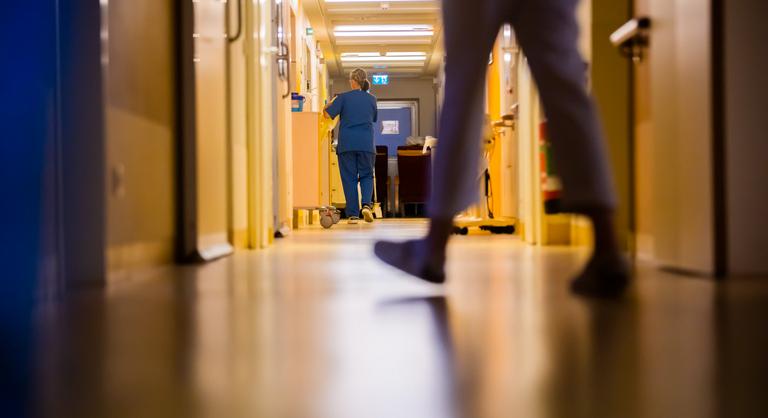 Ritka fertőzések kezdtek terjedni Észak-Magyarországon