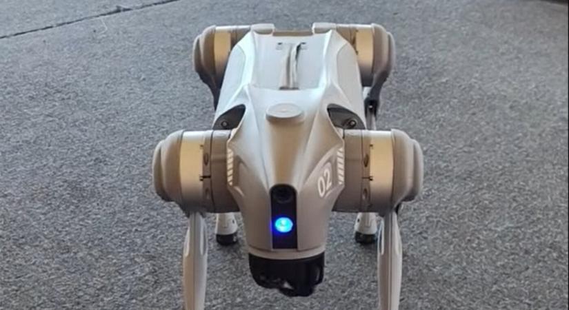 Pacsit is ad Szlovákia első robotkutyája – Léván, az Atlantis központban találkozhatnak vele (VIDEÓ)