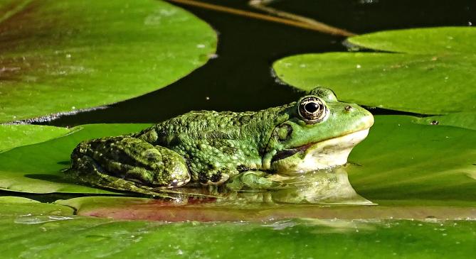 40 fokkal tetőzhet a hőség