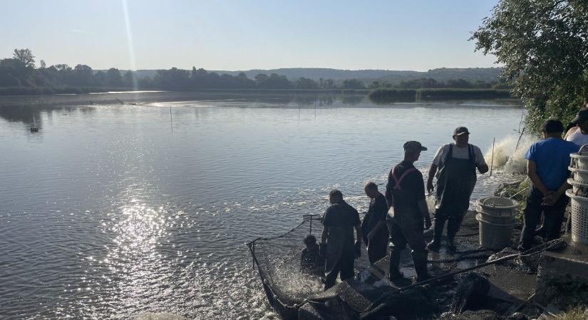 Kritikus a vízszint Balatonföldváron