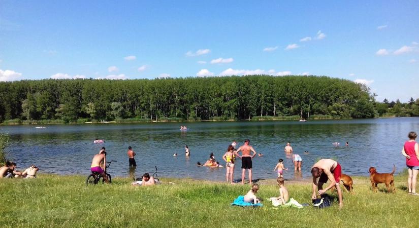 A révkomáromi Holt-Vágban kékalga szaporulat jelent meg - óva int a közegészségügy