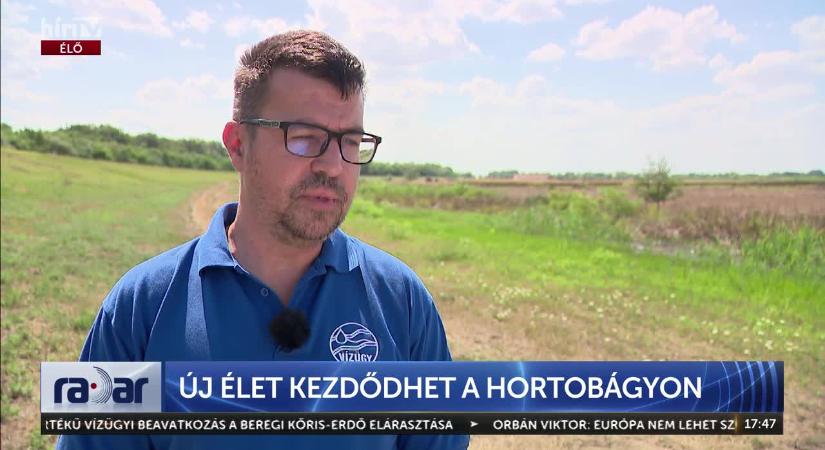 Radar - Új élet kezdődhet a Hortobágyon  videó