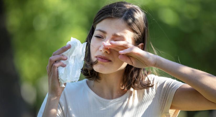 Itt a parlagfűszezon: 6 tipp, hogy ne őrülj bele az allergiás tünetekbe