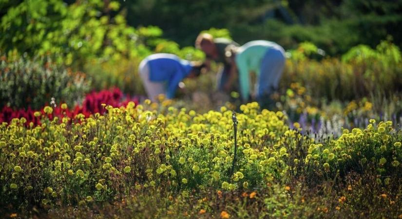 Többmilliós bírságot kockáztat az a kerttulajdonos, aki ezt elmulasztja