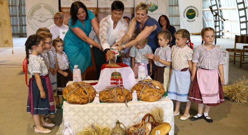 Összeöntötték a vármegye búzáját Csornán, a tavalyinál is többet ajánlottak fel a vármegyei gazdák - képgaléria