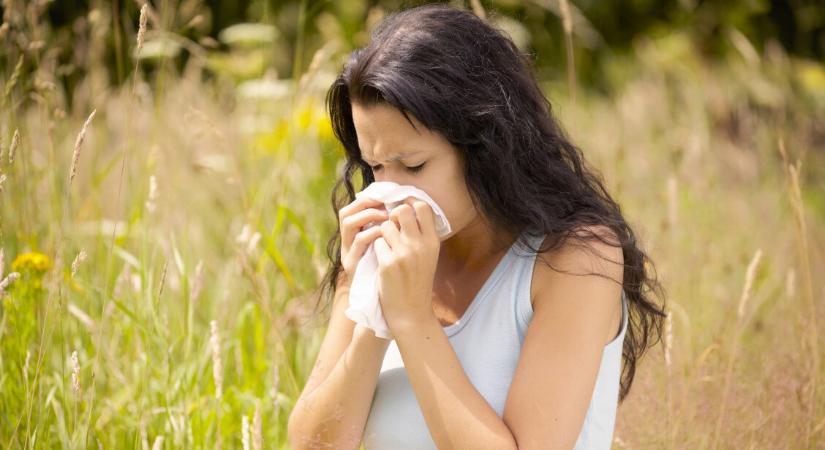 Hibák, amelyeket sok allergiás elkövet – Ez rejtőzhet a makacs tünetek hátterében