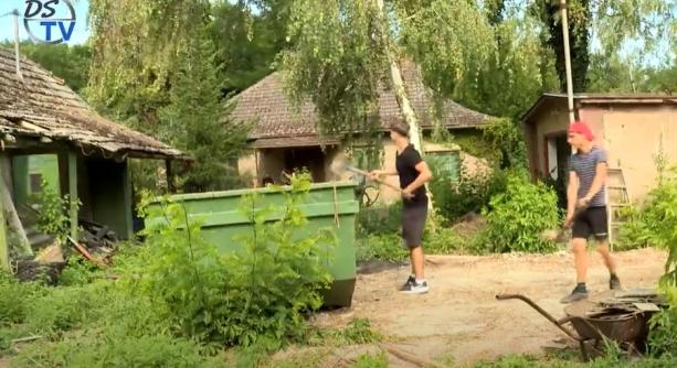 DSTV: nyári munkák az arborétumban