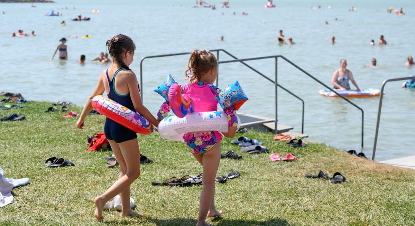Vörös cápa tűnt fel a Balatonban, a fürdőzők között