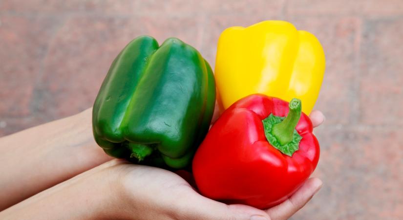 Zöld kaliforniai paprika vs. piros kaliforniai paprika: melyik az egészségesebb?