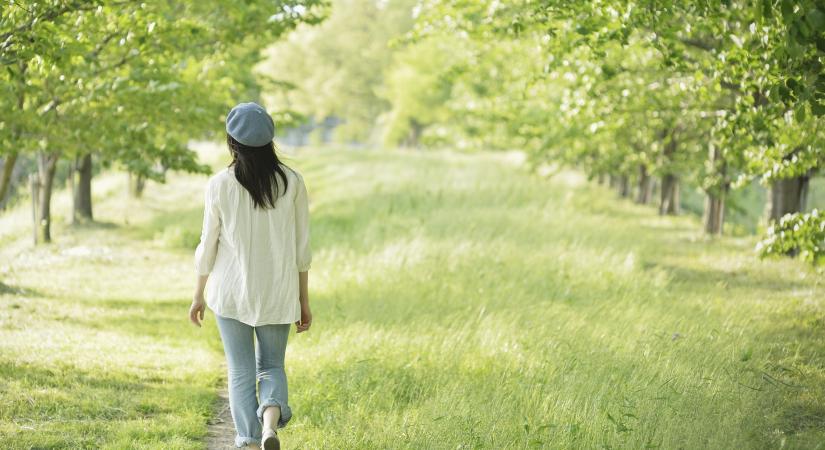 A stresszűzés legjobb módja: tényleg olyan jó a japán séta?