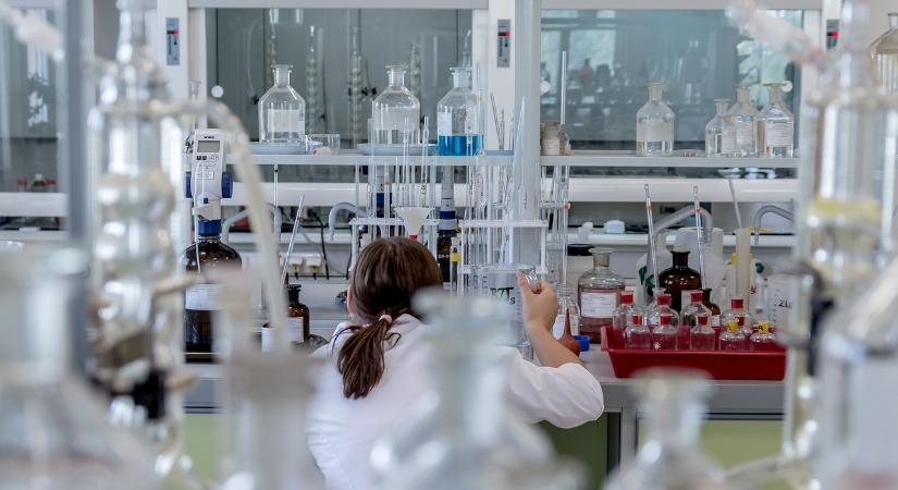 Szegeden kutatják az Alzheimer-kór kialakulásának okait