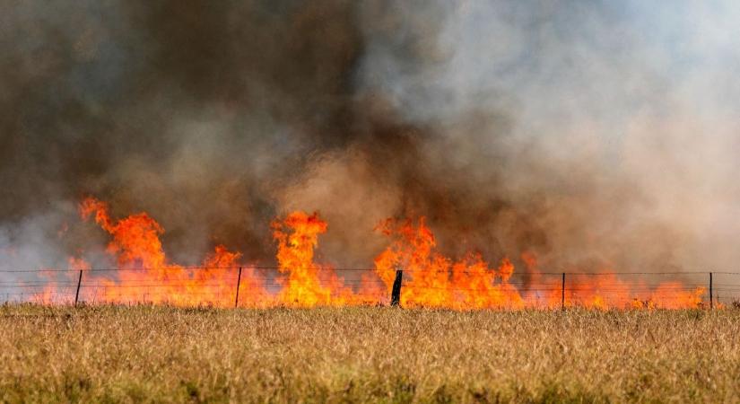 Teljes terjedelmében lángolt egy építmény Tiszaföldváron, két város tűzoltói érkeztek a helyszínre