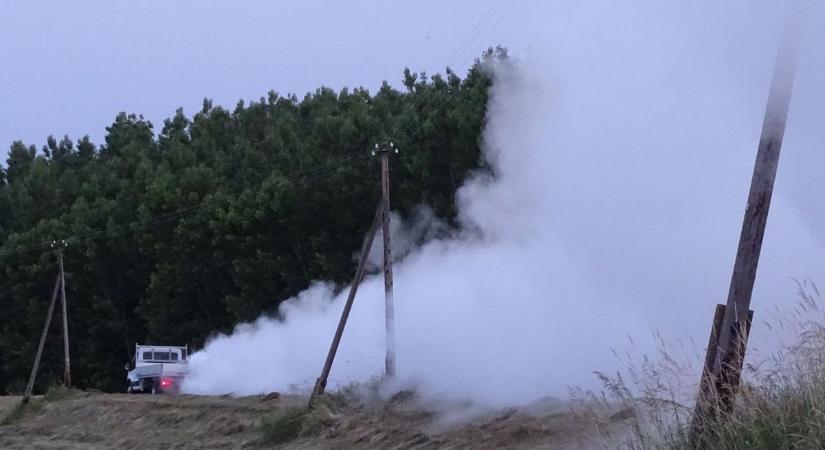 Kémiai szúnyoggyérítés Győrben csütörtökön