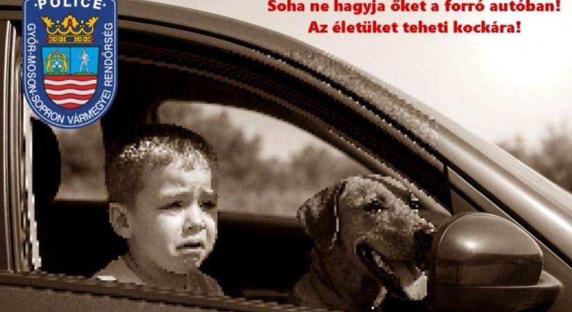 Felelősségteljesen a hőségben