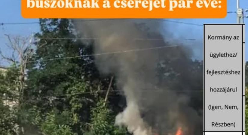 Vitézy Dávid: „Szentkirályi Alexandra badarságokat beszél”