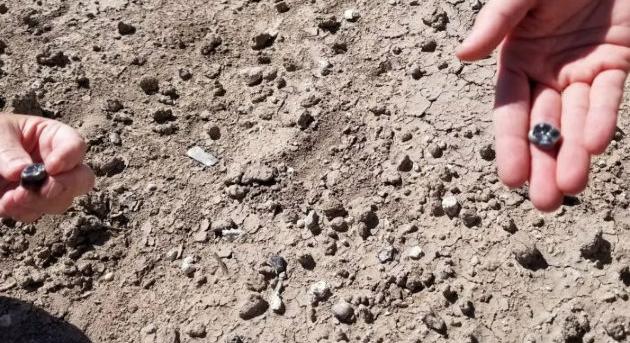 Új Australopithecus-faj fogai kerültek elő Etiópiában