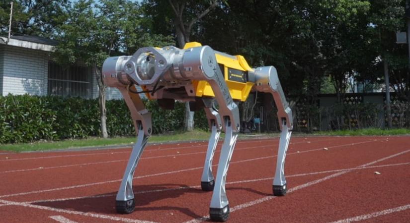Napi tudomány: egy kínai egyetem robotkutyája Guinness-rekordot állított fel