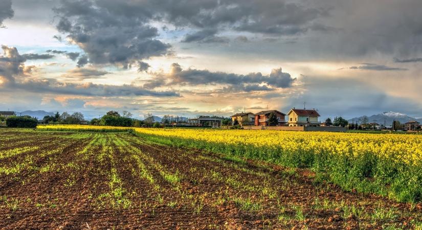 Erősíti a talajt, fokozza a humuszképződést ez a módszer