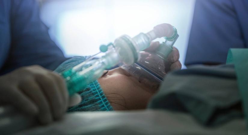 11 napig volt kómában a kisfiú– ébredéskor jelnyelvvel közölte édesanyjával a fontos üzenetet
