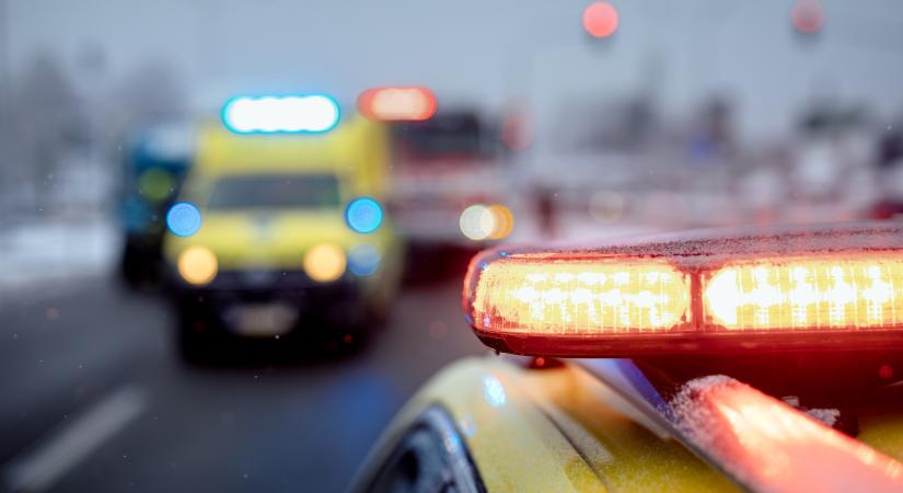 Leszakadó faág ölte meg az anyukát, aki élete árán is kislányát védte