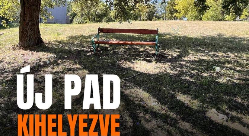 Sikeres miskolci városfejlesztés: padot helyeztek el egy fa alatt