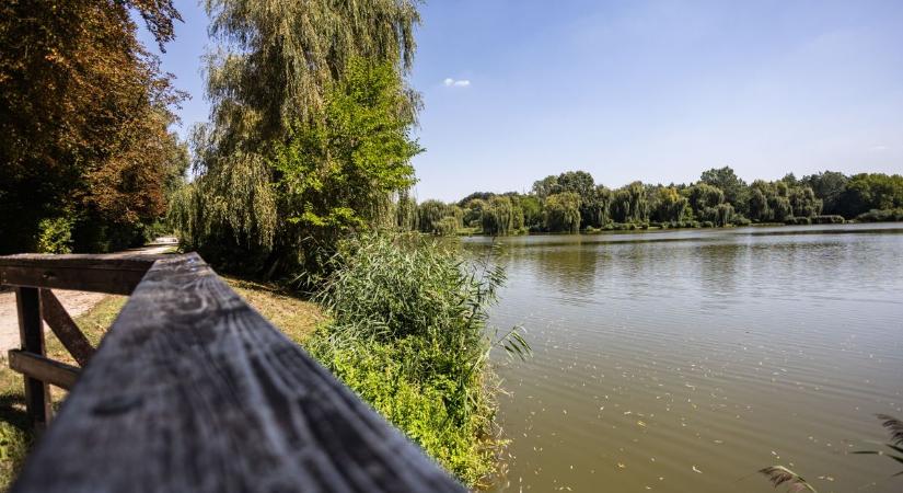 Bejelentették a legújabb fesztivált, naná, hogy Korda Gyuri bácsi is ott lesz