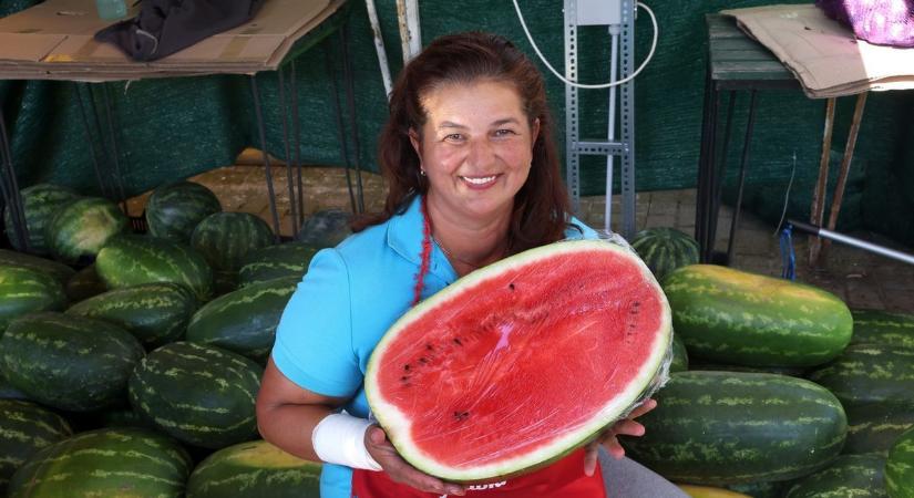 Megőrülnek a somogyi dinnyéért a németek, viszik mint a cukrot a balatoni piacon