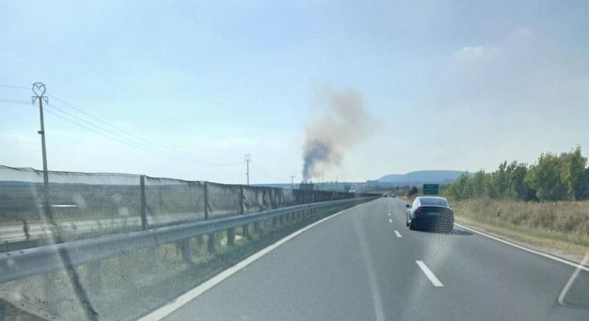 Három település tűzoltói küzdenek a lángokkal Várpalotánál
