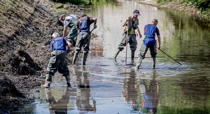 A fecskendőt letéve felkapták a lapátot (fotókkal, videóval)
