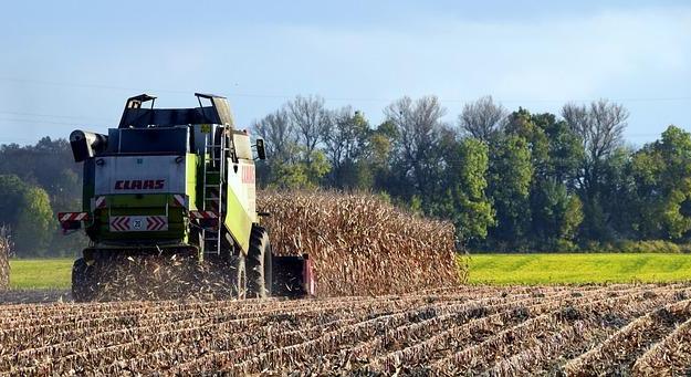 AM: befejeződött a nyári aratás, kedvezőek a hozamok