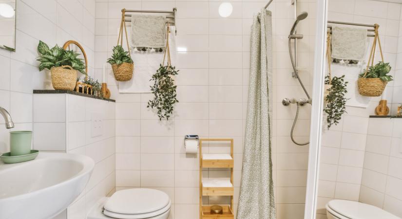 Ezért ne zuhanyozz nyitott WC-fedél mellett