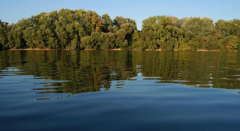 Folyószabályozás: a medermélyülés és a talajvízcsökkenés összefüggenek?