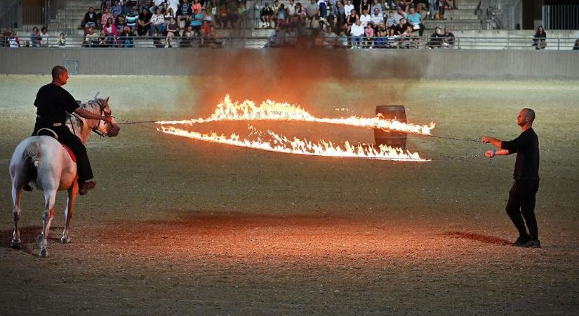 200 ló, világhírű fellépők és tüzes show a Lipicai Lovasgálán