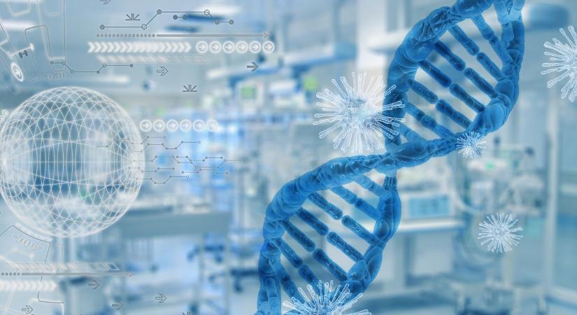 Felforgathatja az emberi evolúcióról alkotott képet az új felfedezés