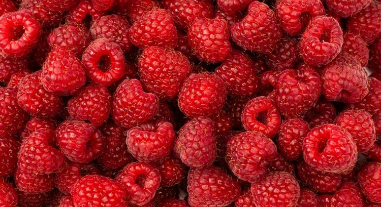Két héten múlva érkezik a marokkói málna