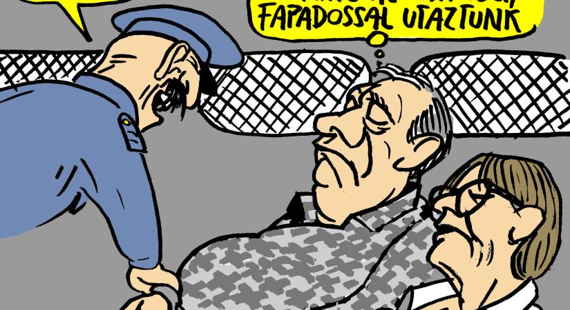 Fapados álmok