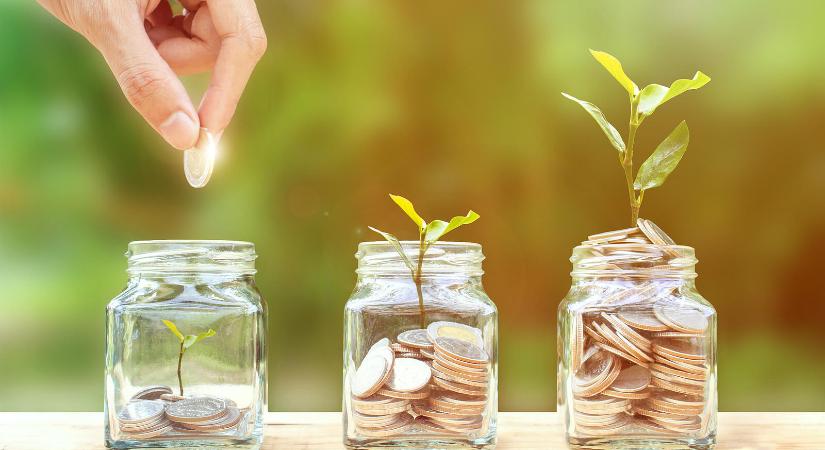 A fenntartható bankolás kora – Létezik már zöld bankszámla Magyarországon?