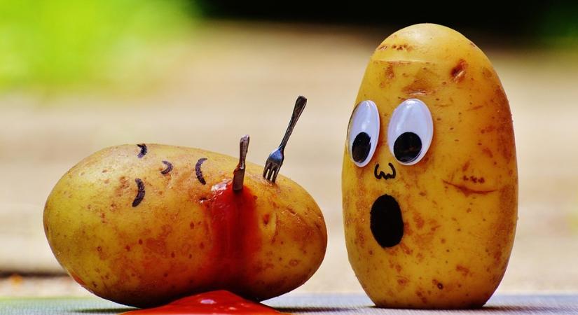 Adj hálát a ketchupnak a sültkrumpliért! – A piros szósz kalandos története