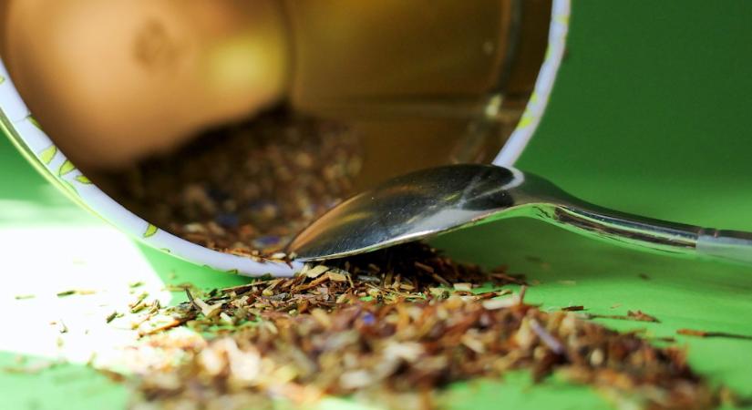 A tyúkhúslevesen túl – gyógyító növények, amiket még a nagymama is ismert