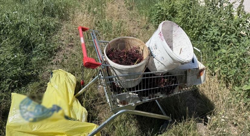 Zsákmánnyal a kezükben másztak ki – lebuktak