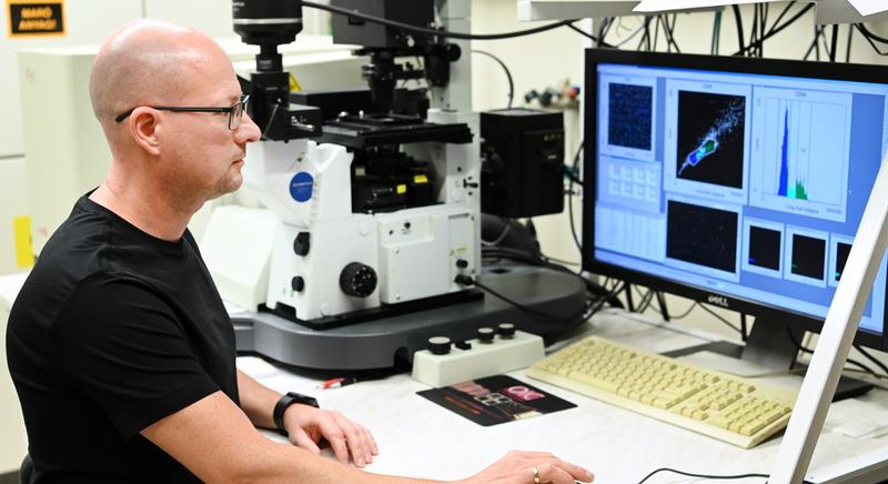 Alapkutatás a hatékonyabb daganatellenes terápiák fejlesztéséért