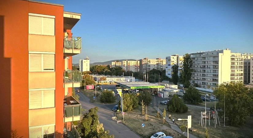 Pereskedés az albérlet miatt? Indul a roham, jobb, ha felvértezzük magunkat jogi témában is