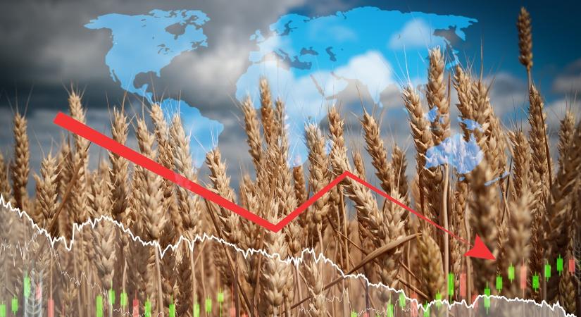 2025 nagy kérdése, ami felforgatja a gabonapiacot
