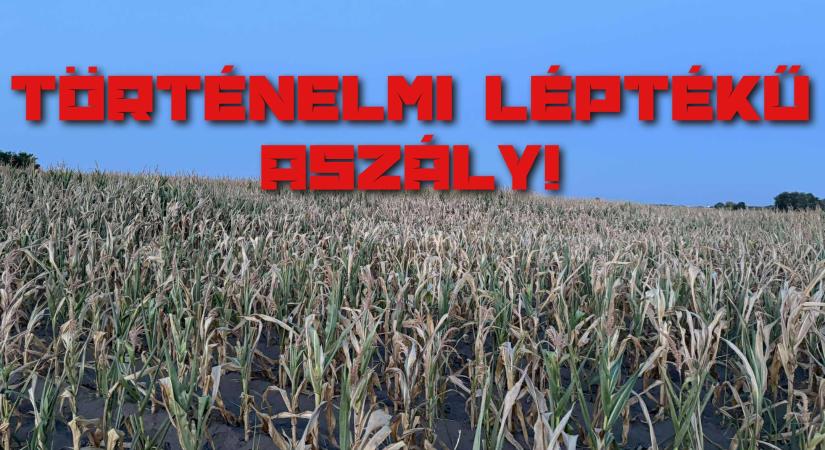 Történelmi léptékű aszály!