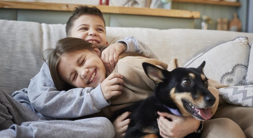 Kutyaszakértő: ez az 5 kutyafajta ideális gyerek mellé